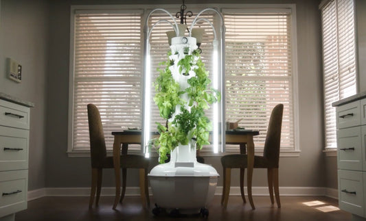 Drumroll..... The new Tower Garden HOME! - Groove Rabbit