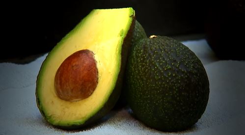 24 Large Hass Avocados - Fresh from the farm - Groove Rabbit