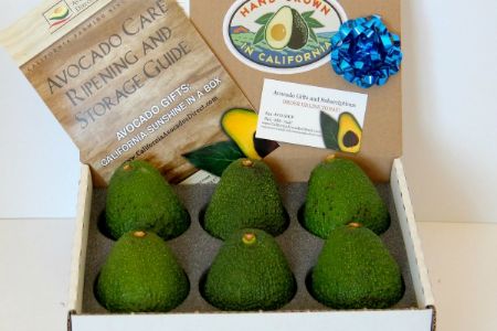 6 Large Hass Avocados - Groove Rabbit