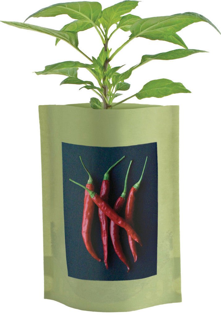 Hot Pepper Seed Starter - Groove Rabbit